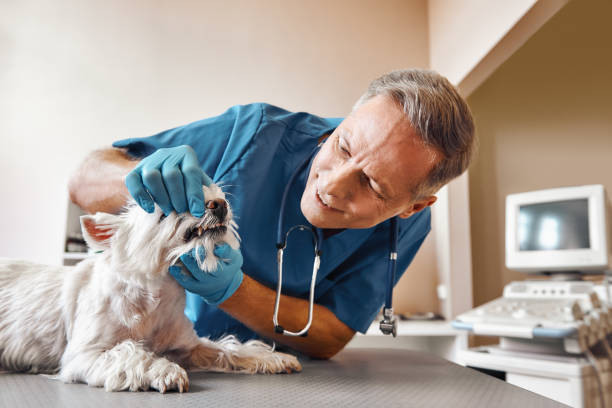 Best Broken Tooth Emergency  in Fredonia, NY